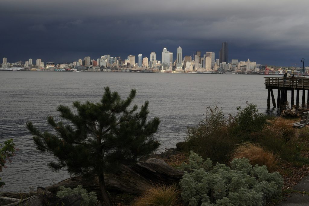 Windy Seattle Storms